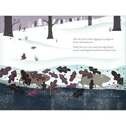 Over And Under The Snow